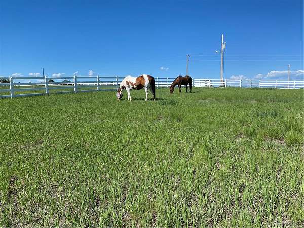 13.5 Acres of Land with Home for Sale in Franktown, Colorado