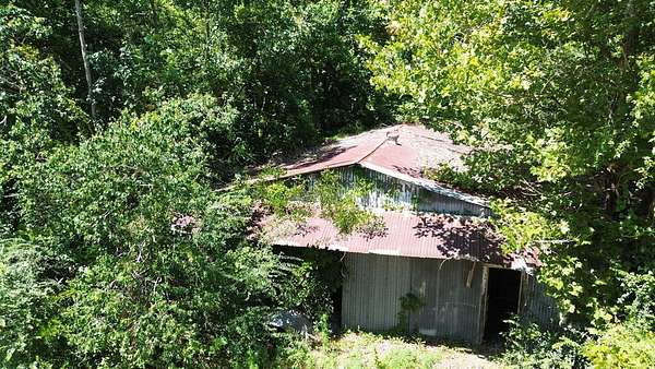 0.44 Acres of Commercial Land for Sale in Kirbyville, Texas