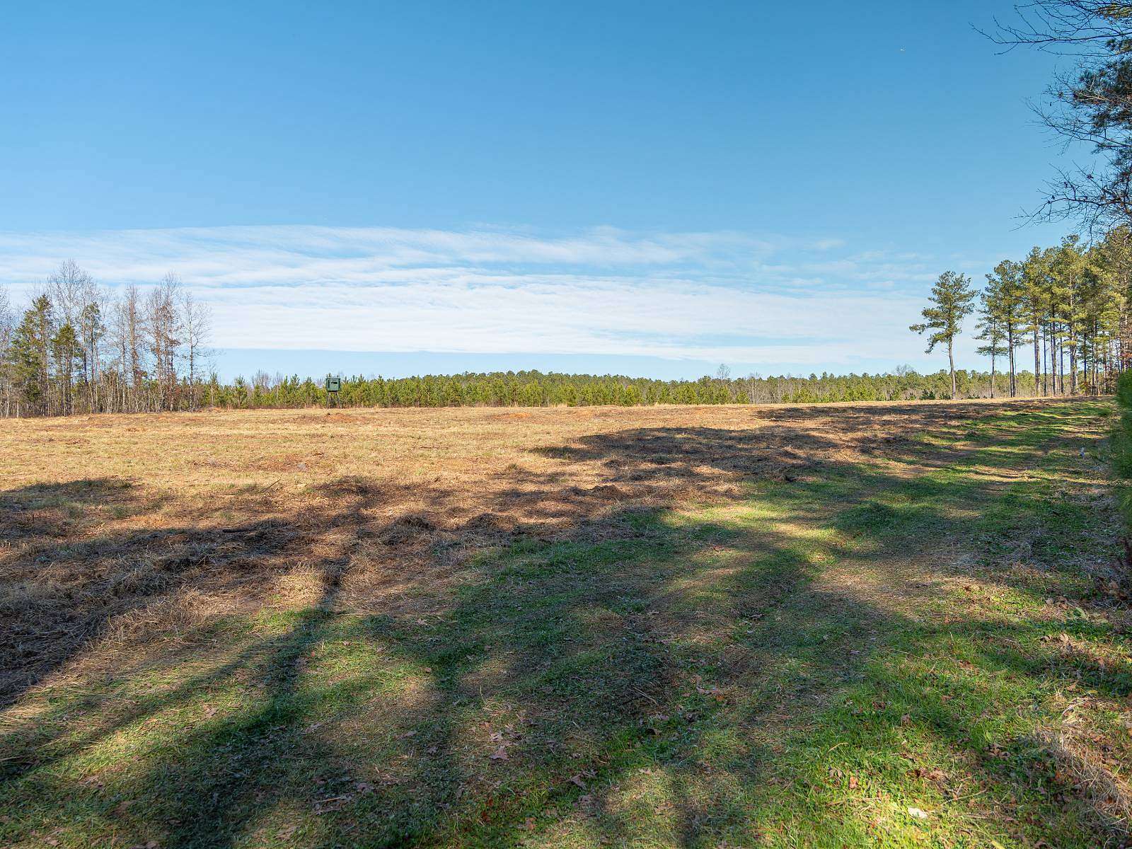 31.5 Acres of Agricultural & Residential Land for Sale in Liberty, South Carolina