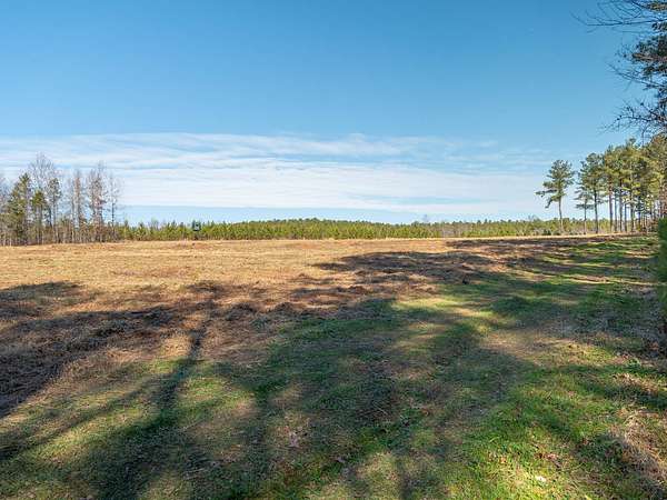 31.5 Acres of Agricultural & Residential Land for Sale in Liberty, South Carolina