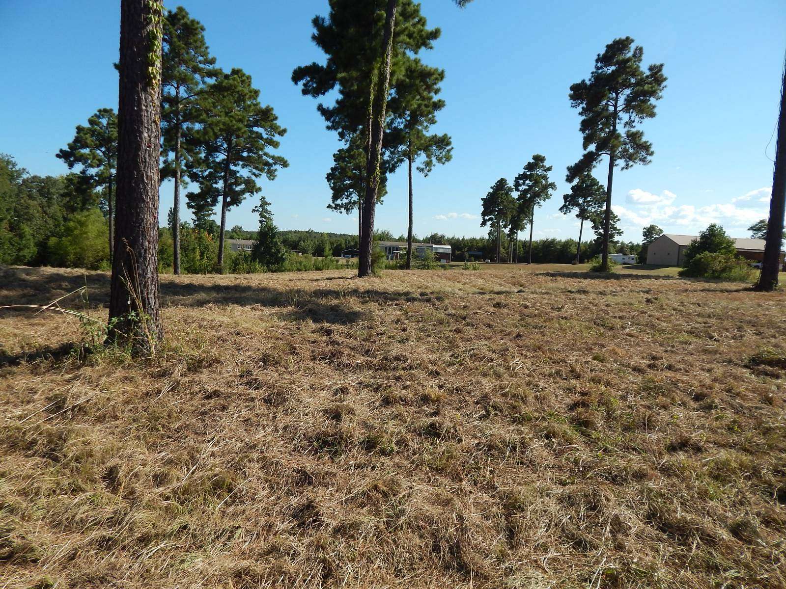 0.69 Acres of Land for Sale in Many, Louisiana