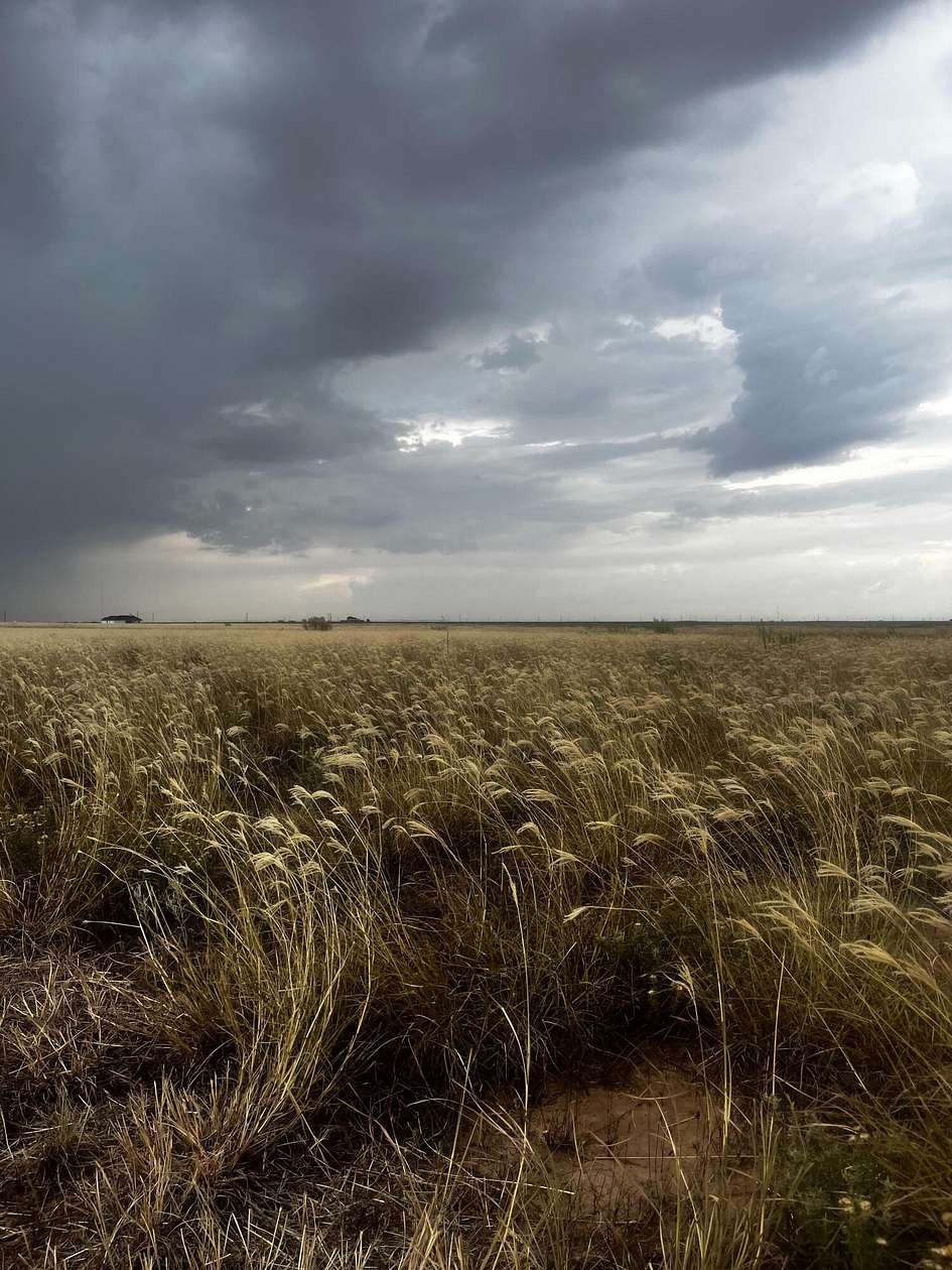 10 Acres of Land for Sale in Lubbock, Texas