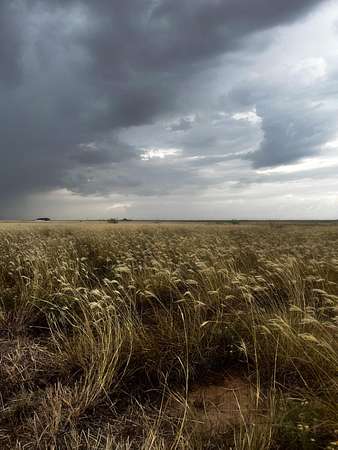 10 Acres of Land for Sale in Lubbock, Texas