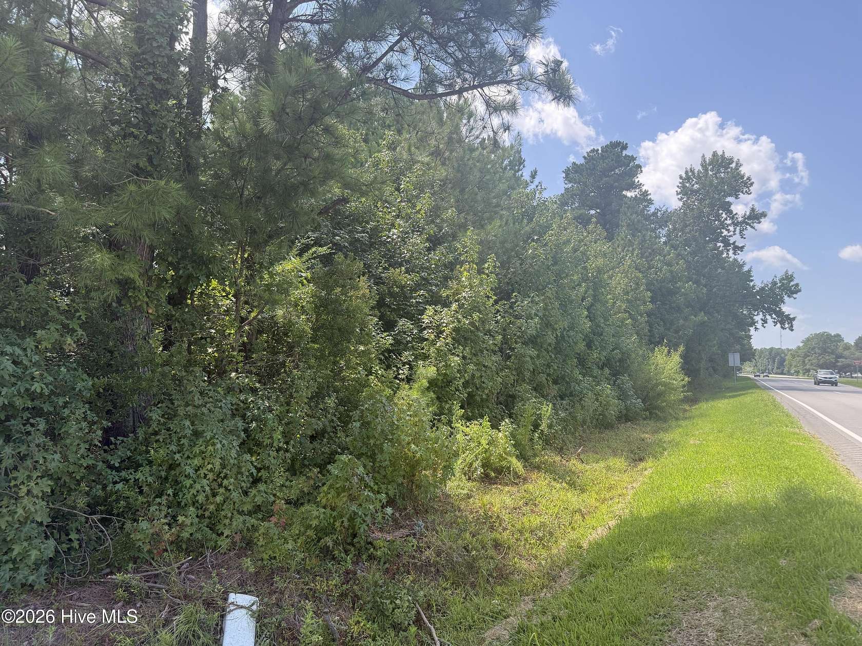 20 Acres of Recreational & Residential Land for Sale in Delco, North Carolina
