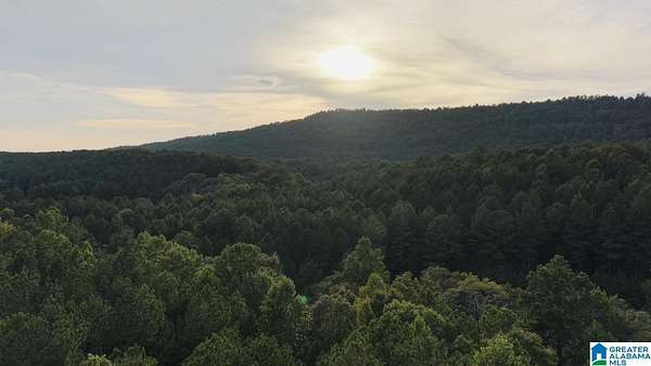 25 Acres of Recreational & Residential Land for Sale in Westover, Alabama