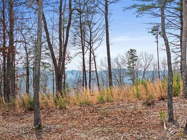 0.94 Acres of Residential Land for Sale in Morganton, Georgia