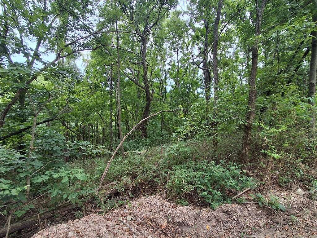 5 Acres of Residential Land for Sale in Berryville, Arkansas