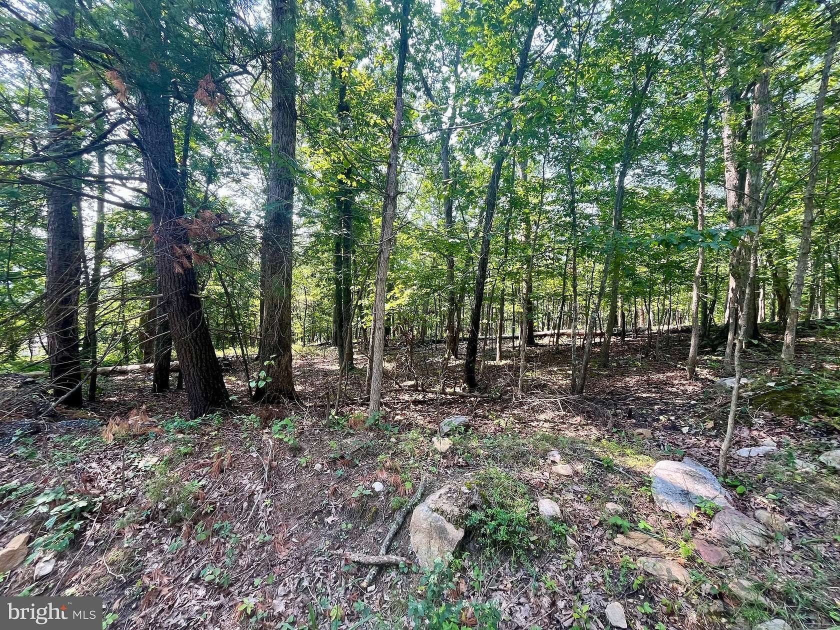 0.42 Acres of Residential Land for Sale in Luray, Virginia