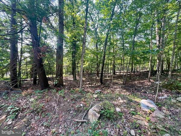 0.42 Acres of Residential Land for Sale in Luray, Virginia