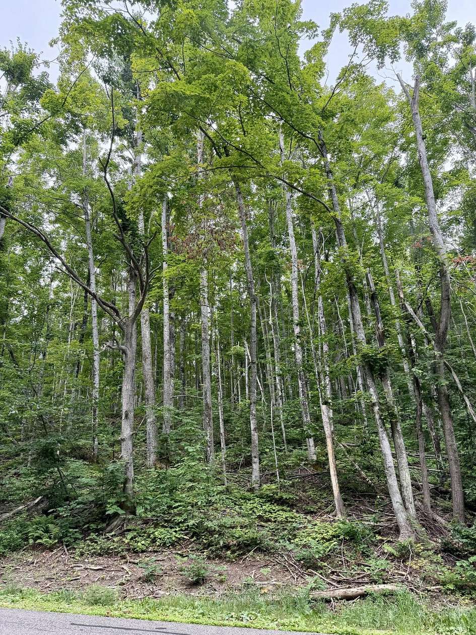 0.9 Acres of Residential Land for Sale in Harbor Springs, Michigan