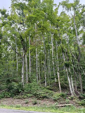 0.9 Acres of Residential Land for Sale in Harbor Springs, Michigan