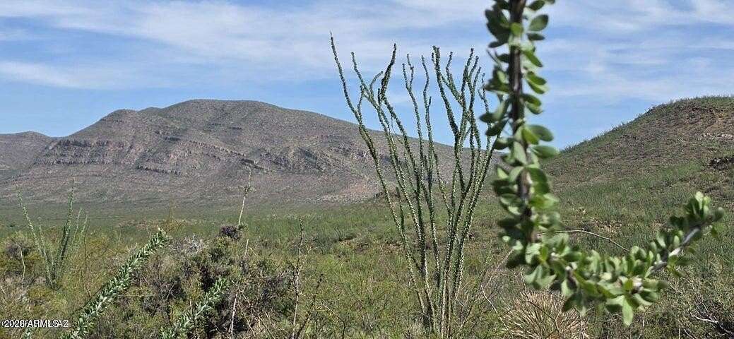 118 Acres of Recreational Land for Sale in Tombstone, Arizona