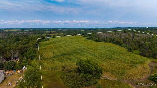 40 Acres of Land for Sale in Daggett, Michigan