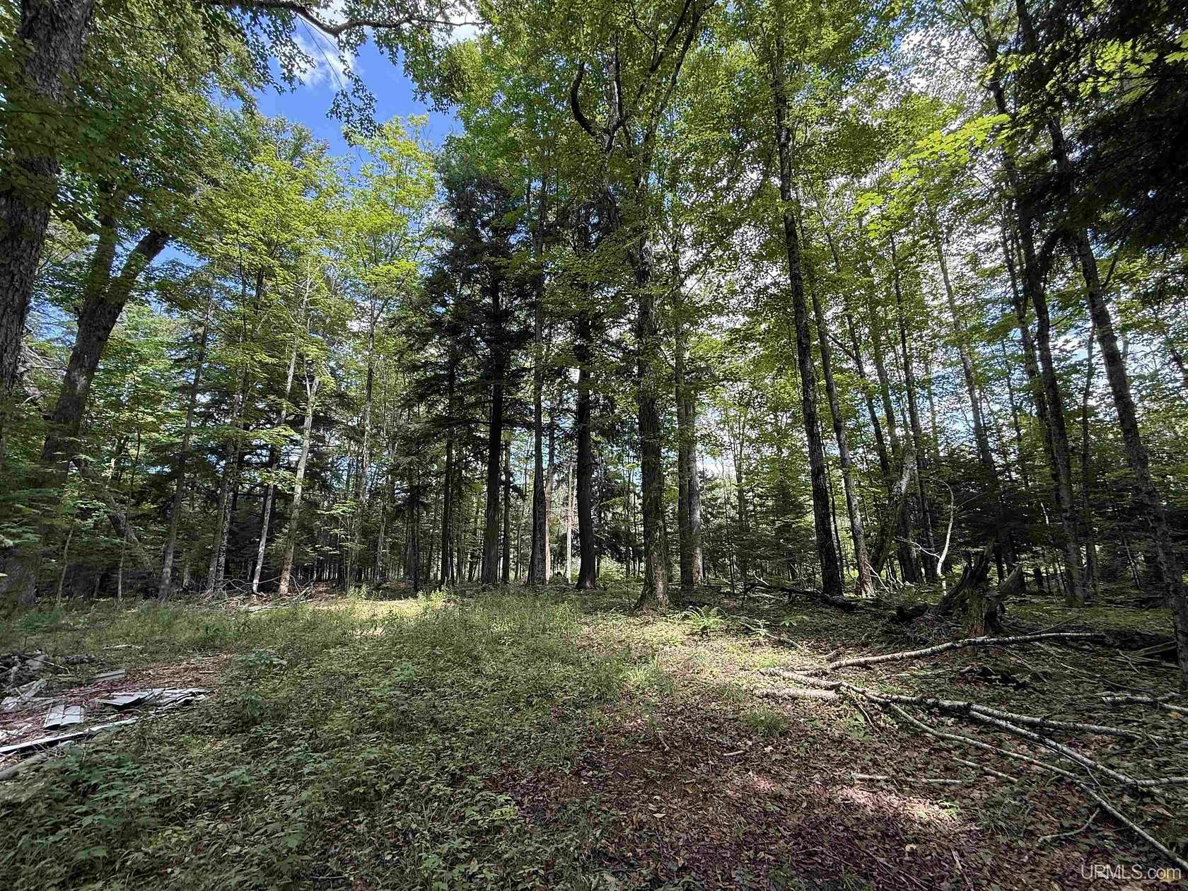 38.1 Acres of Recreational Land for Sale in Gulliver, Michigan