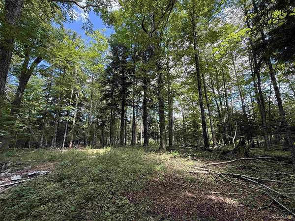 38.1 Acres of Recreational Land for Sale in Gulliver, Michigan
