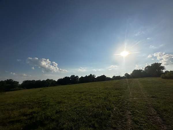 15.5 Acres of Land for Sale in Mexico, Missouri