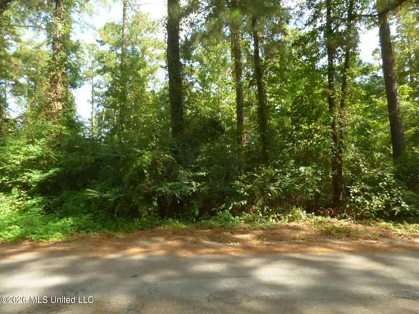 1 Acre of Land for Sale in Monticello, Mississippi