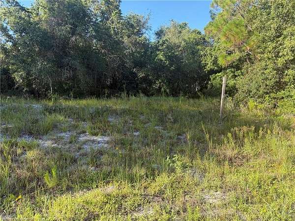 0.46 Acres of Residential Land for Sale in Lake Placid, Florida