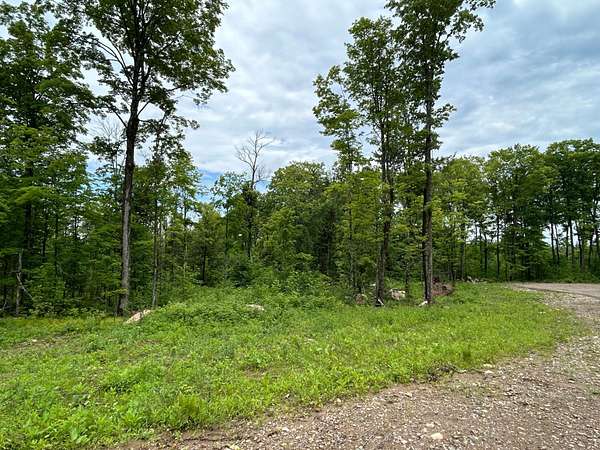 6.74 Acres of Land for Sale in Pelican Lake, Wisconsin