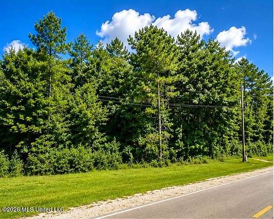 20.5 Acres of Commercial Land for Sale in Amite, Louisiana