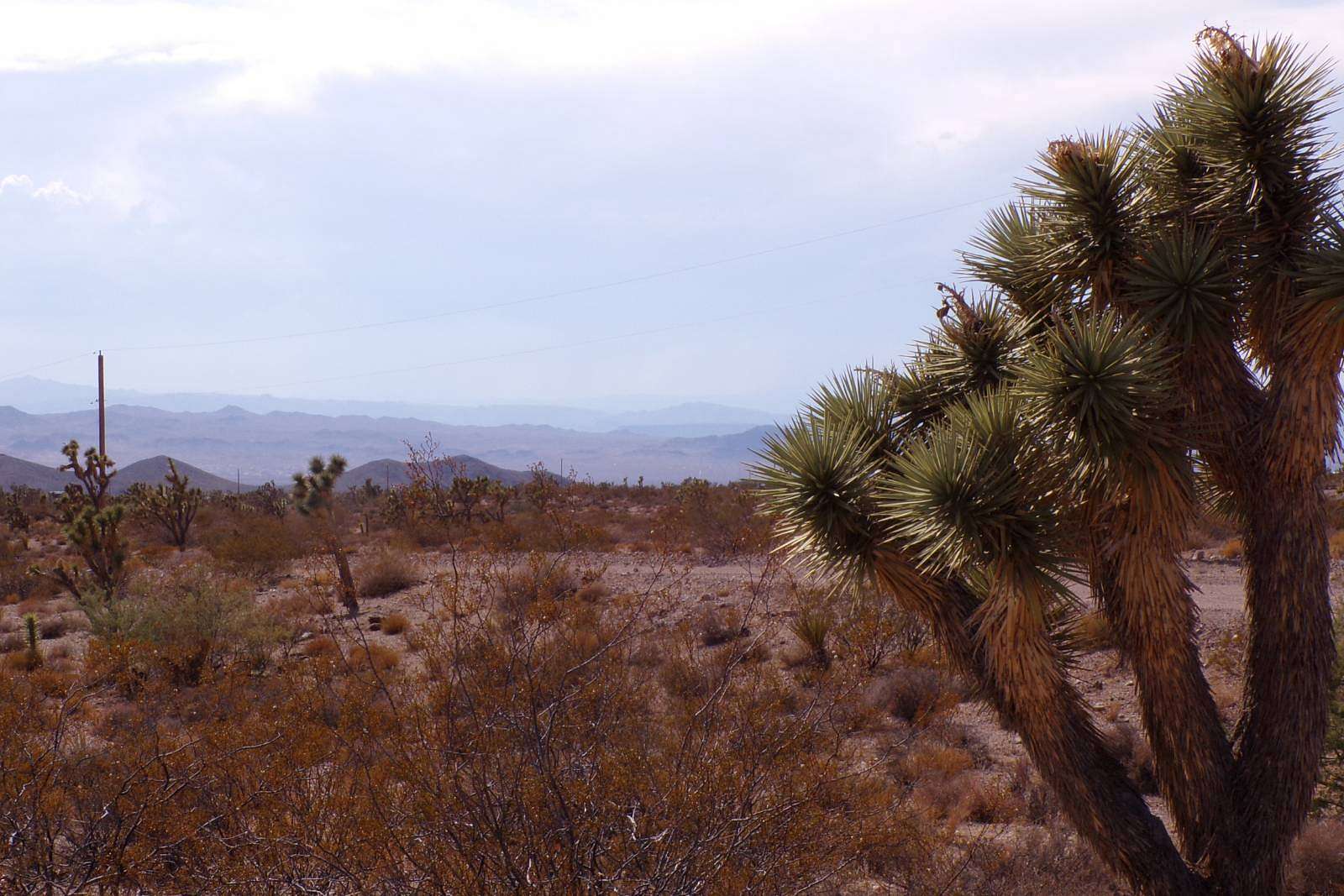5 Acres of Land for Sale in White Hills, Arizona