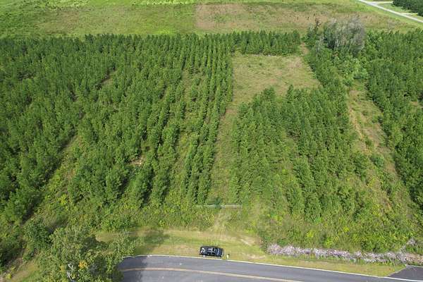 10 Acres of Residential Land for Sale in Wewahitchka, Florida