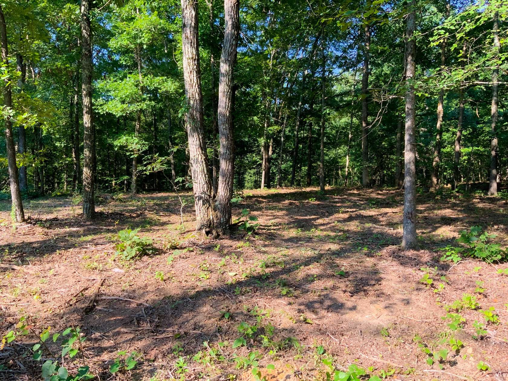18.5 Acres of Recreational & Residential Land for Sale in Dover, Tennessee