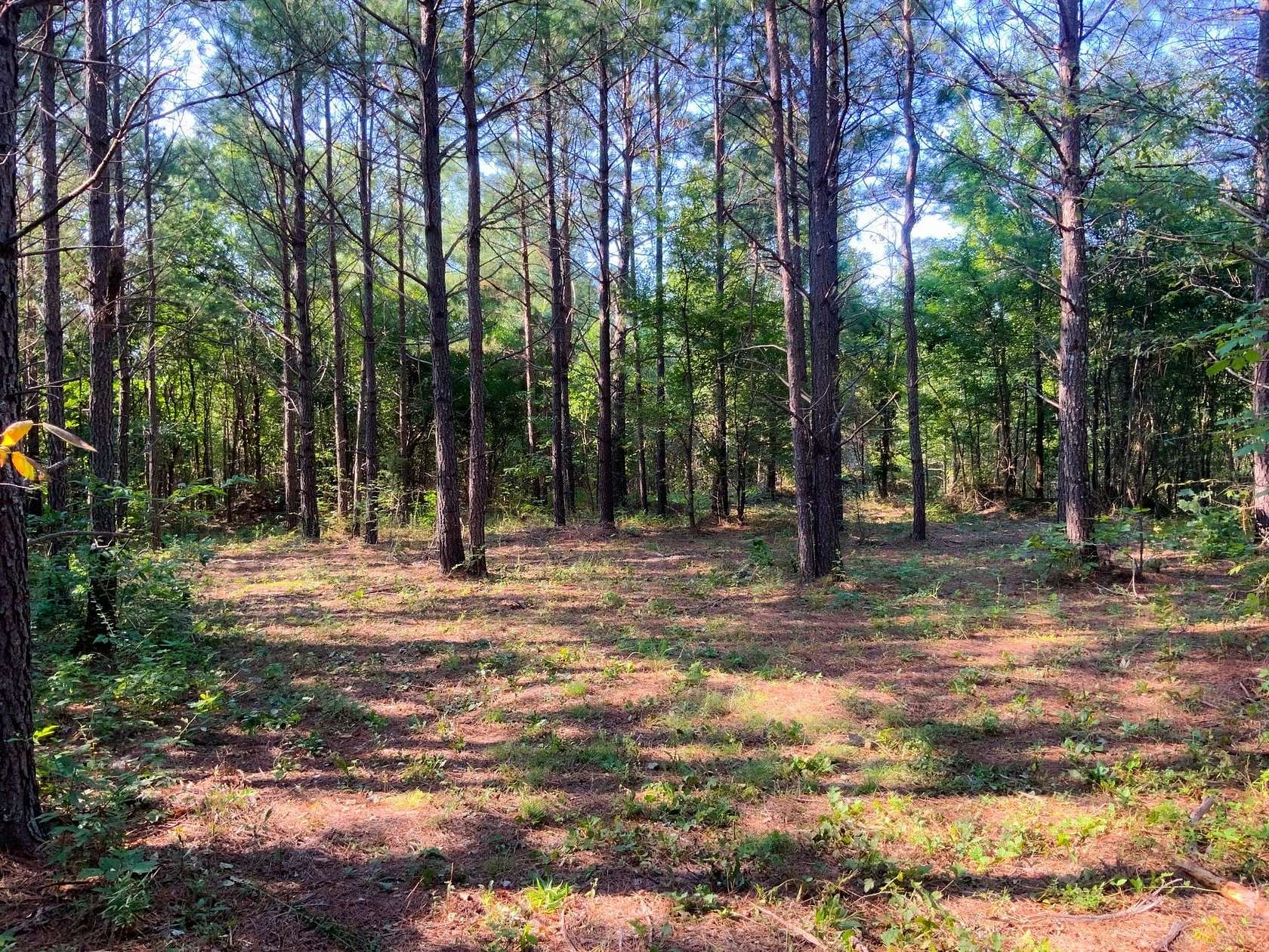 18.5 Acres of Recreational Land for Sale in Dover, Tennessee