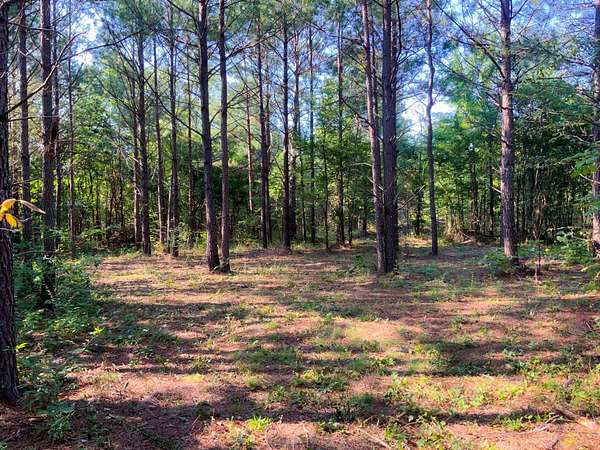 18.5 Acres of Recreational Land for Sale in Dover, Tennessee