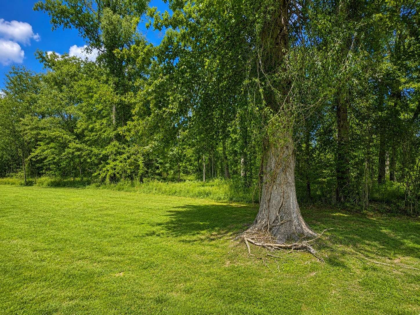 0.62 Acres of Residential Land for Sale in Clarksville, Tennessee