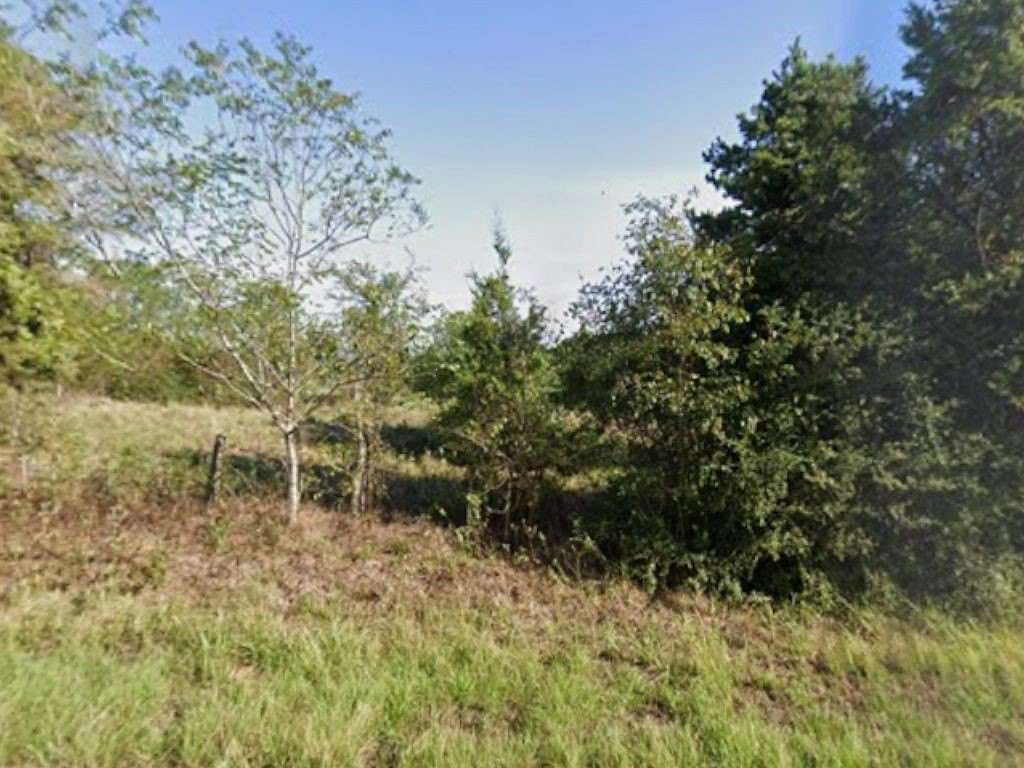 23 Acres of Recreational & Residential Land for Sale in Carthage, Texas