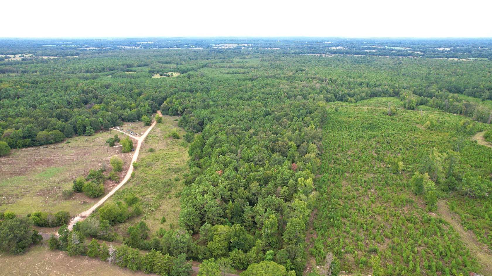 23 Acres of Recreational & Residential Land for Sale in Carthage, Texas