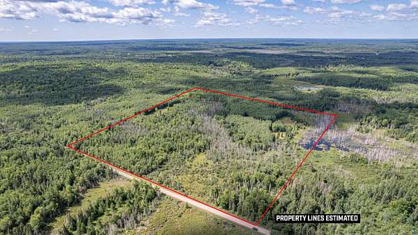 40 Acres of Recreational Land for Sale in Bennett, Wisconsin
