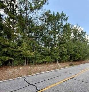 5 Acres of Residential Land for Sale in Opelika, Alabama