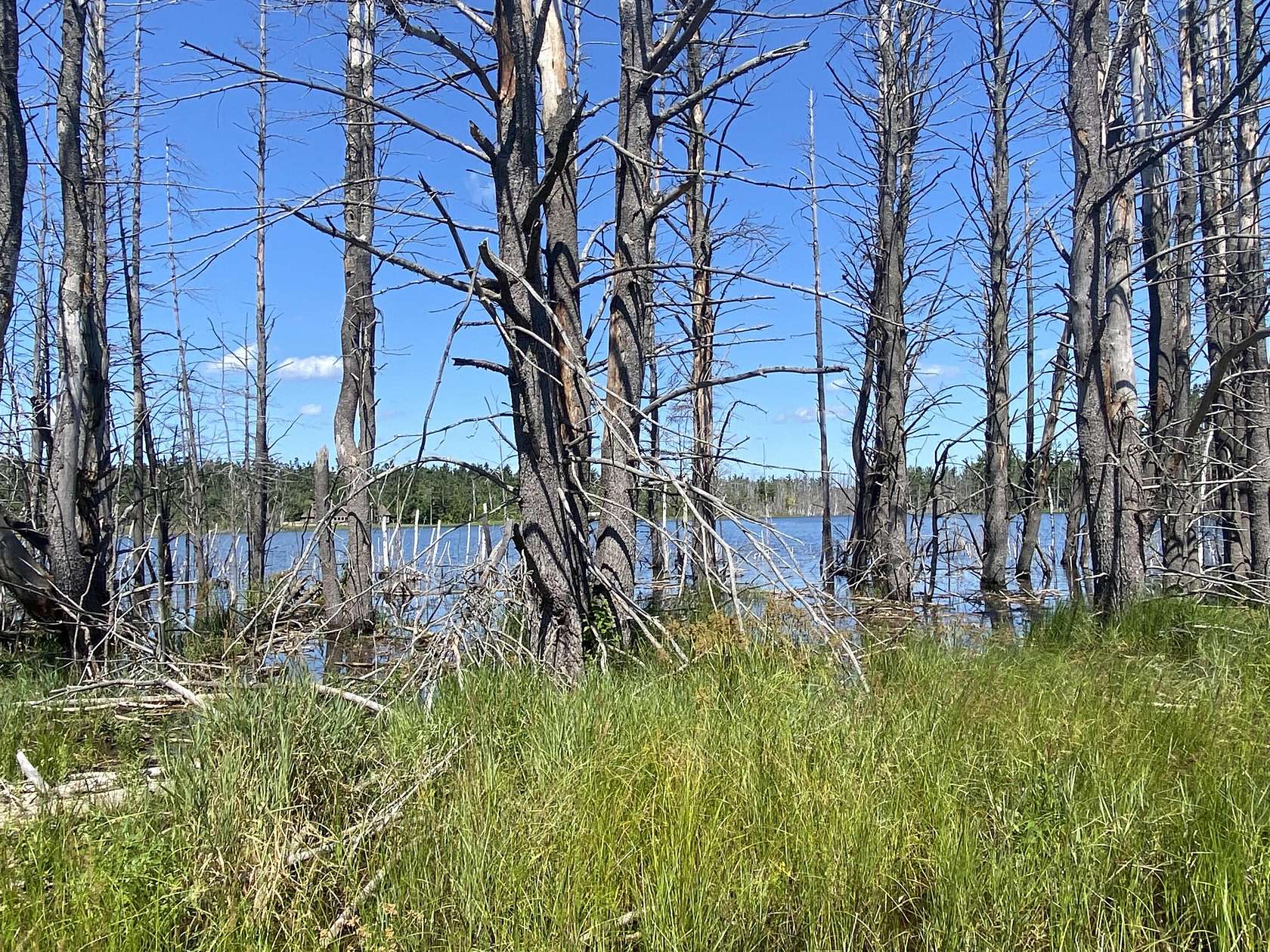 3.2 Acres of Residential Land for Sale in Gaylord, Michigan