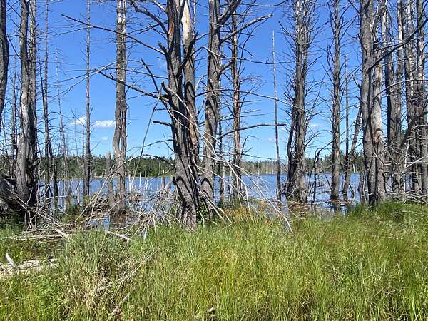 3.2 Acres of Residential Land for Sale in Gaylord, Michigan