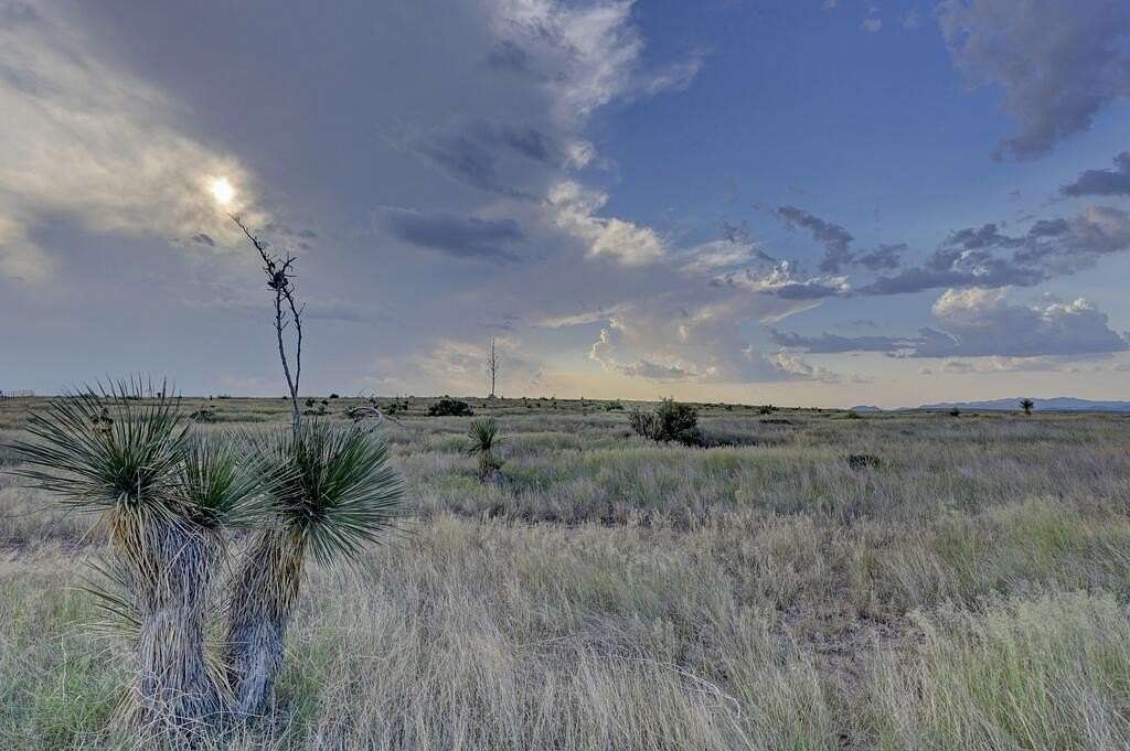 36.4 Acres of Recreational Land for Sale in Marfa, Texas