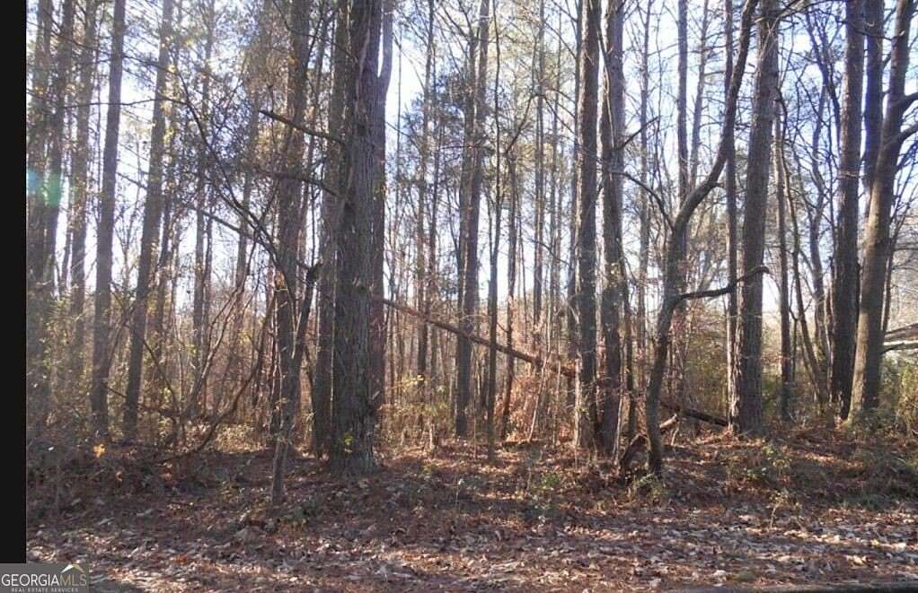 0.49 Acres of Residential Land for Sale in Bowdon, Georgia