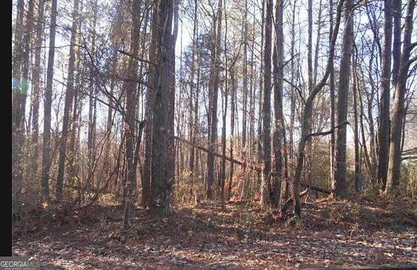 0.49 Acres of Residential Land for Sale in Bowdon, Georgia