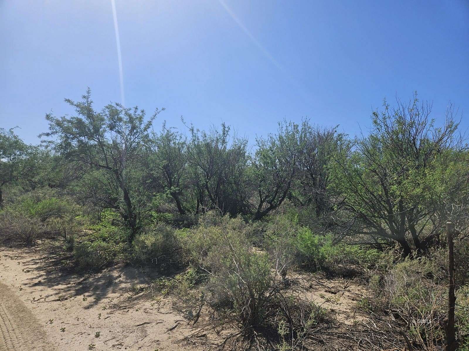 1 Acre of Residential Land for Sale in Pima, Arizona
