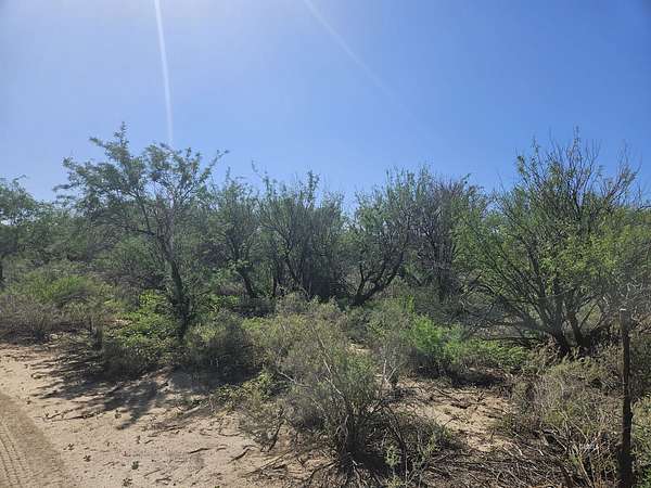 1 Acre of Residential Land for Sale in Pima, Arizona
