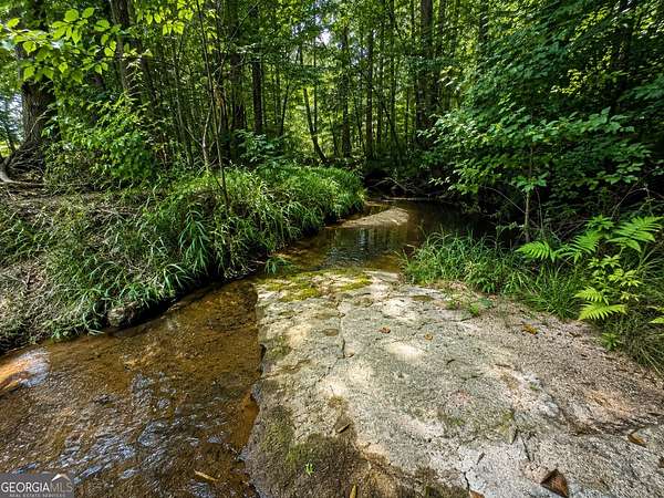 47.7 Acres of Land for Sale in Madison, Georgia