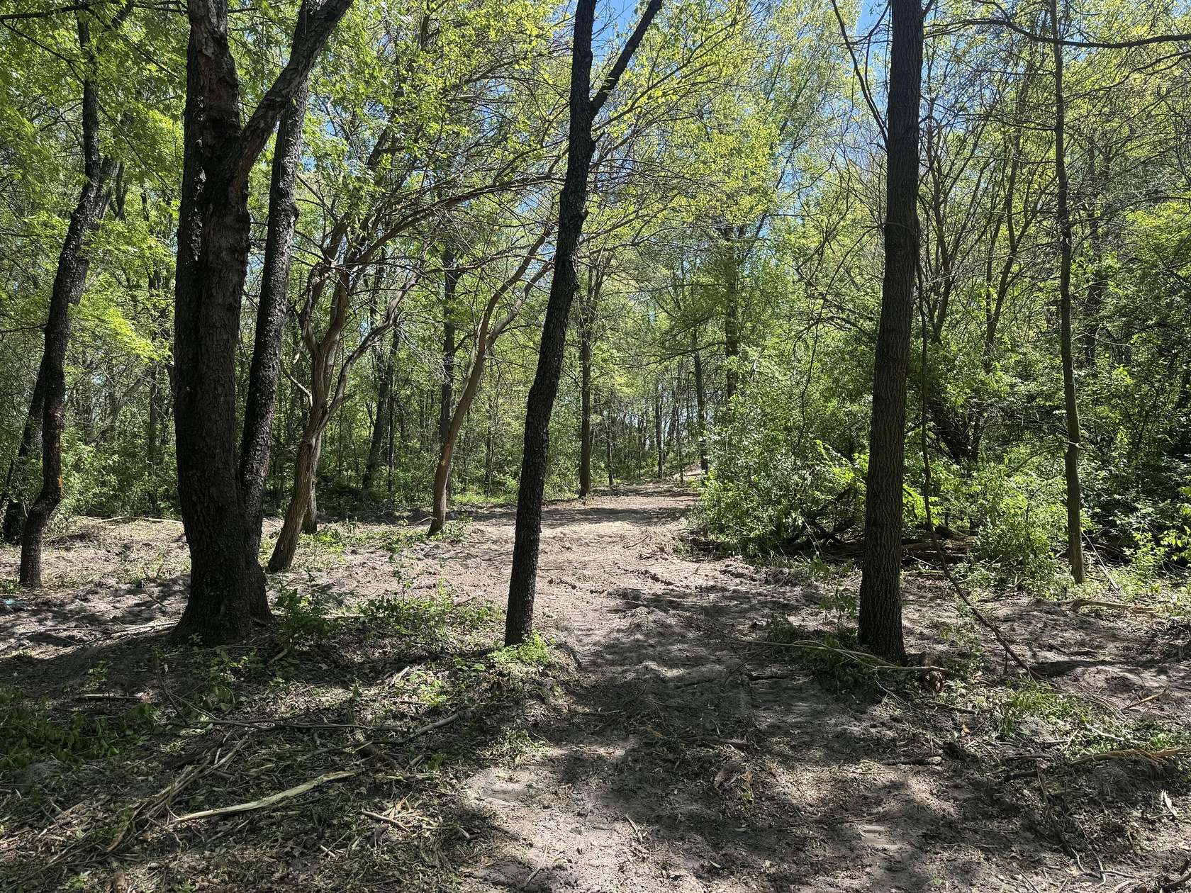 20 Acres of Recreational & Residential Land for Sale in Lake Village, Indiana