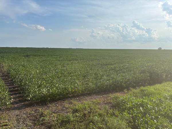 160 Acres of Agricultural Land for Sale in Chokio, Minnesota