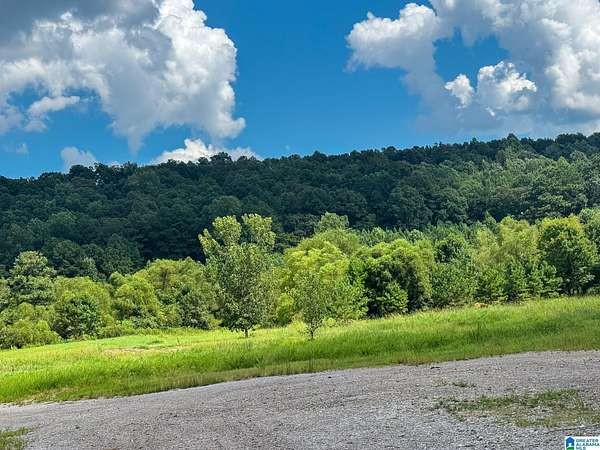 8 Acres of Land for Sale in Birmingham, Alabama