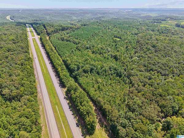 71 Acres of Recreational & Residential Land for Sale in Goodwater, Alabama