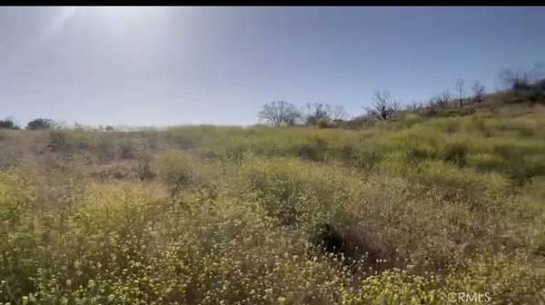 20 Acres of Agricultural & Residential Land for Sale in Anza, California