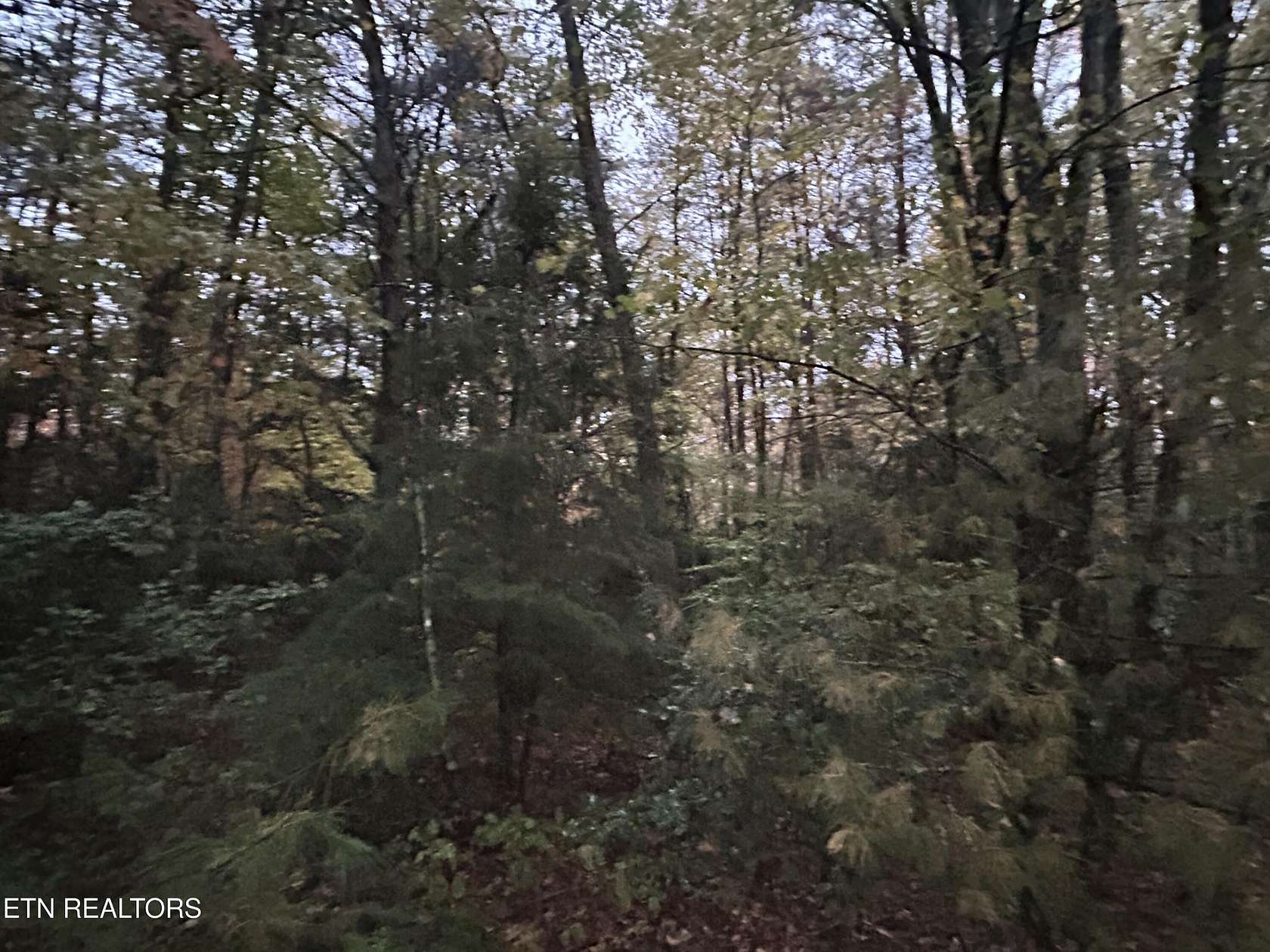 3 Acres of Residential Land for Sale in Clarkrange, Tennessee