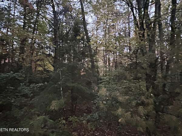 3 Acres of Residential Land for Sale in Clarkrange, Tennessee