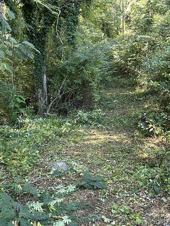 0.48 Acres of Residential Land for Sale in Chattanooga, Tennessee